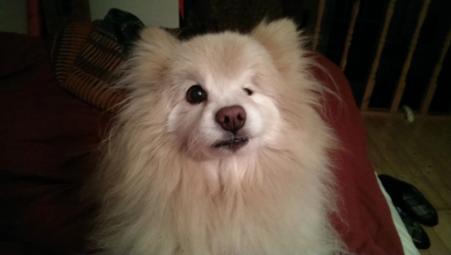 IMAG0469.jpg