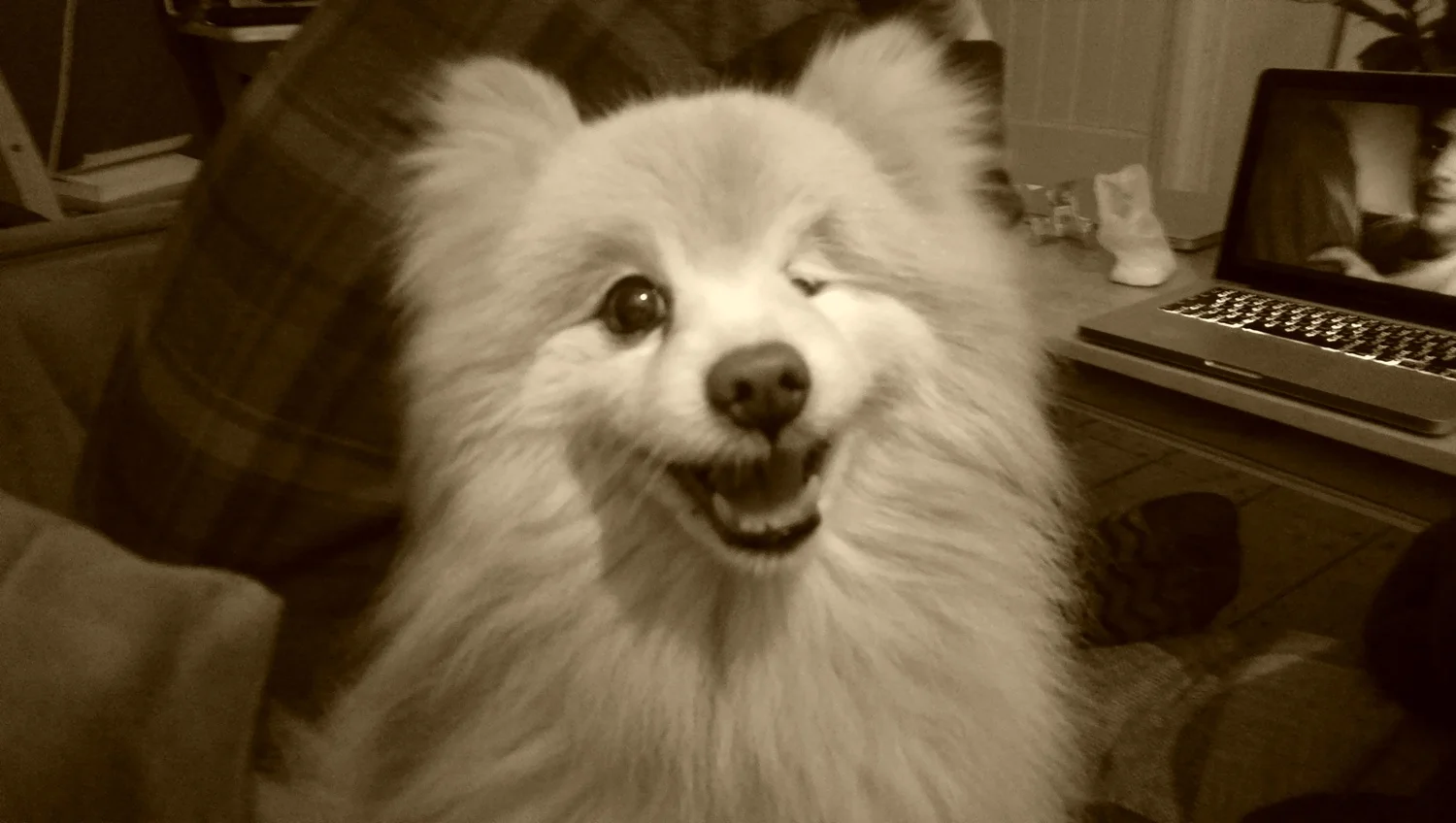 IMAG0636.jpg