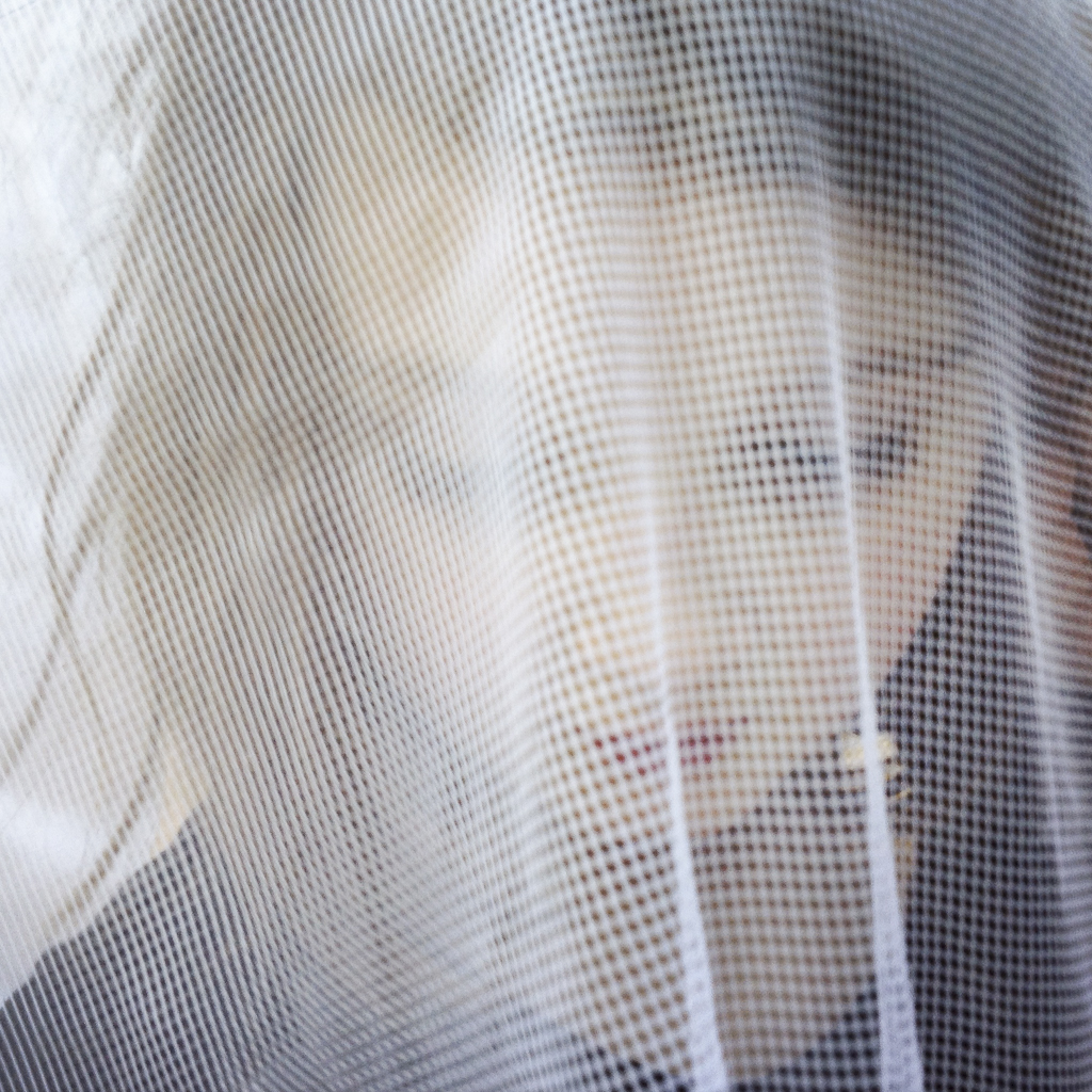 Alice: Mosquito-Net Veil
