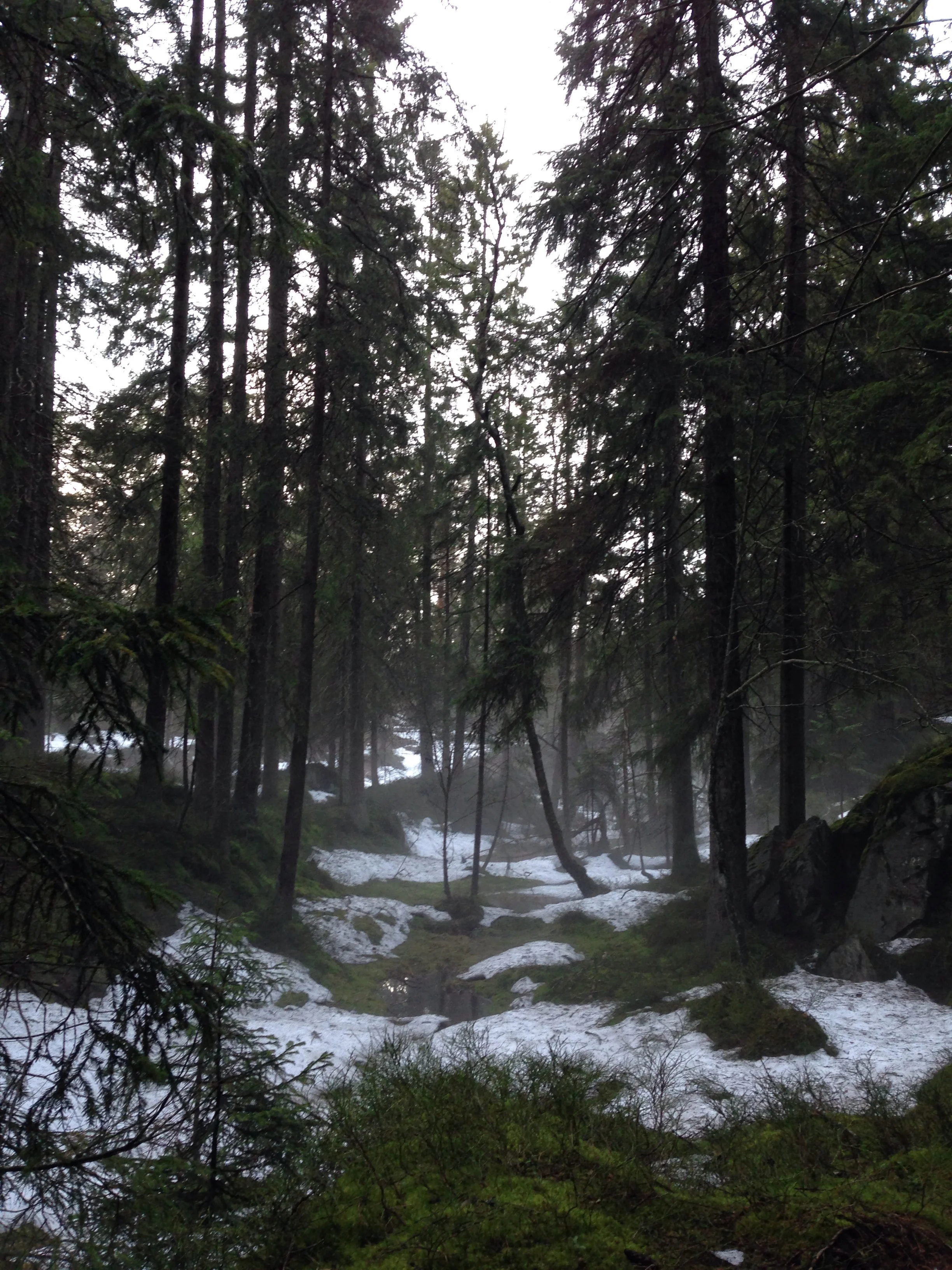 Hvordan kan man motstå å hjorte avgårde?