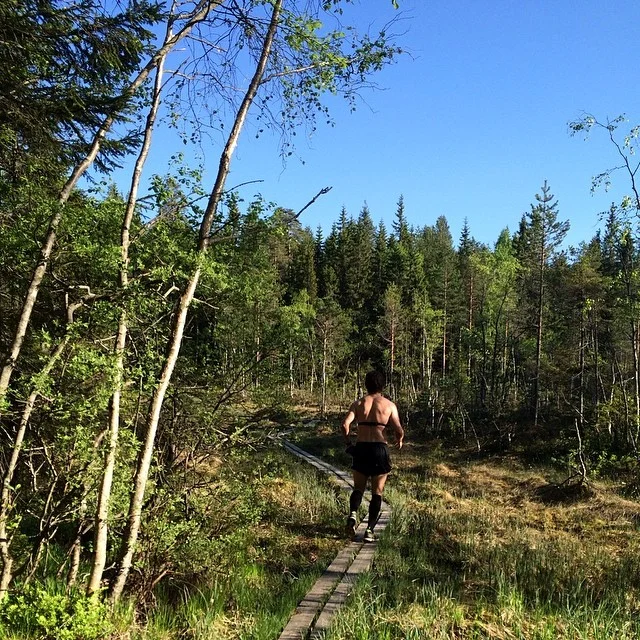 eller solo