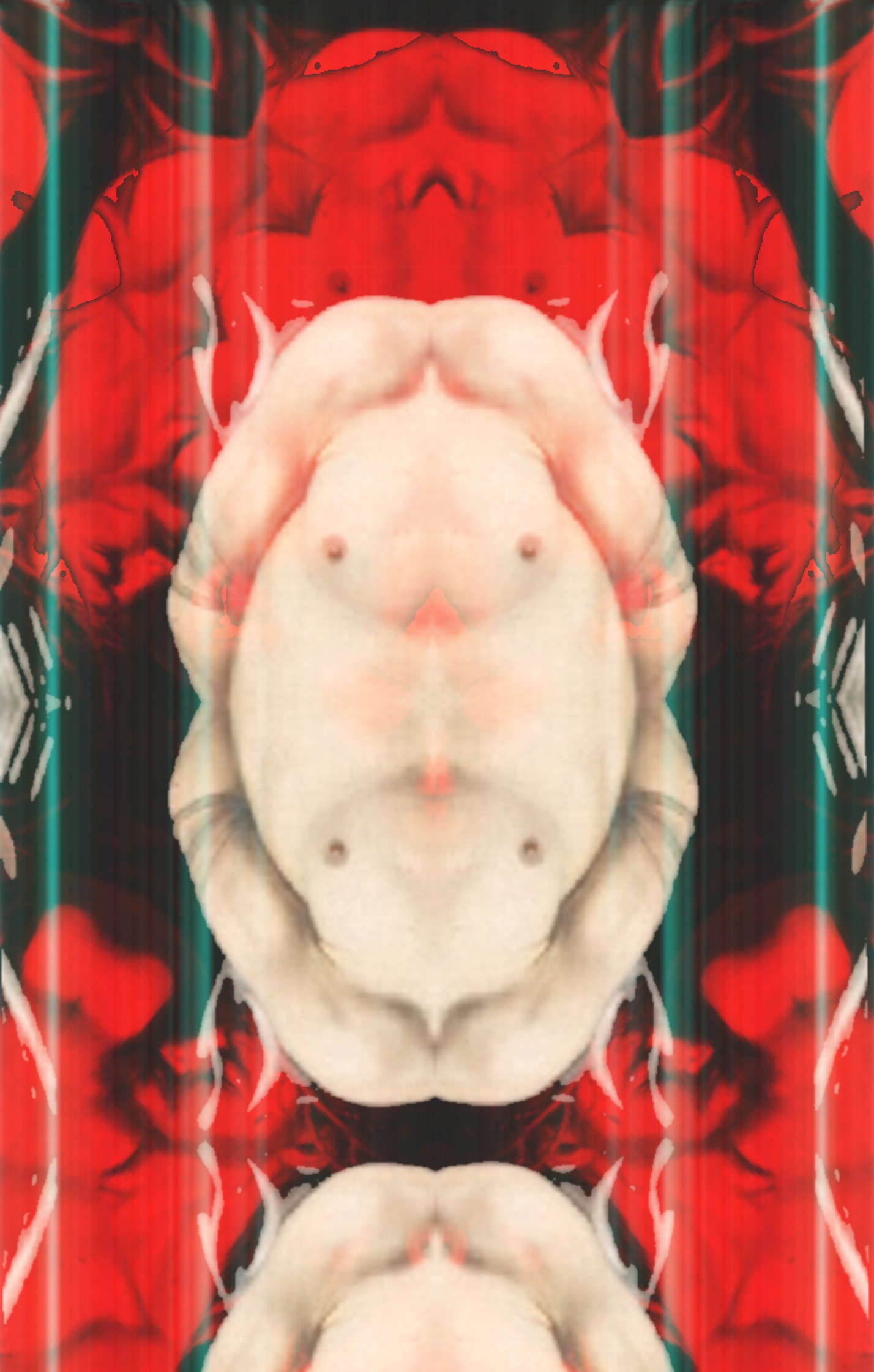 9F769F61-5427-4699-A604-959A6F6DDF6B.jpeg