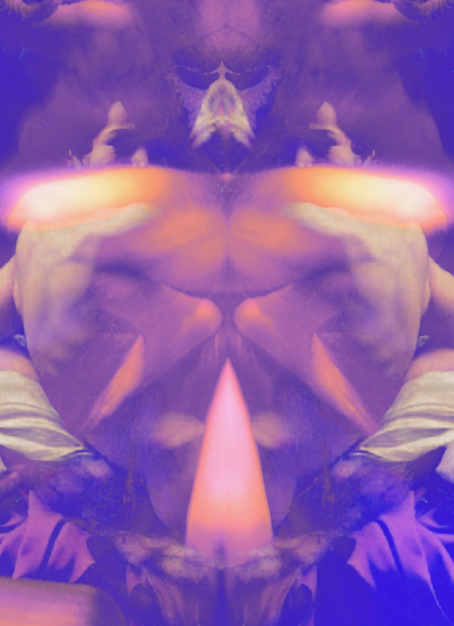 IMG_2286.png