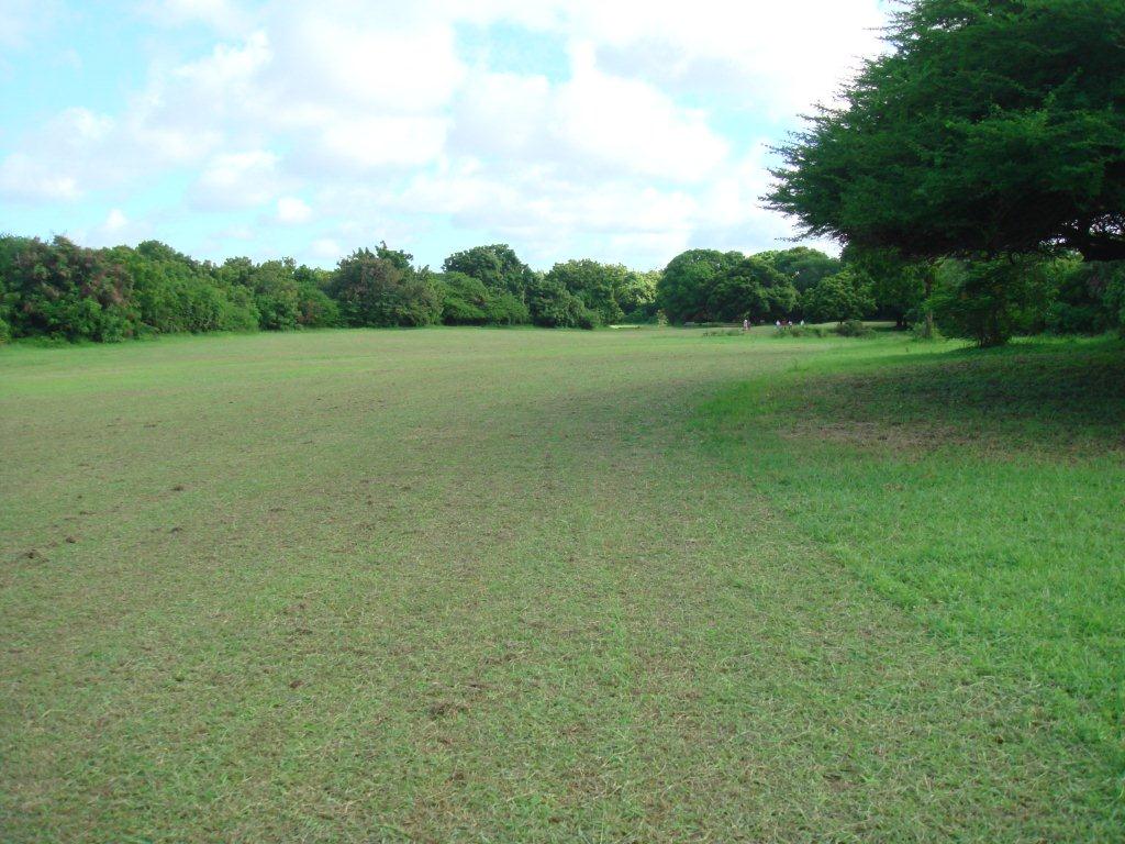 5th fairway - 470 yards, par 5