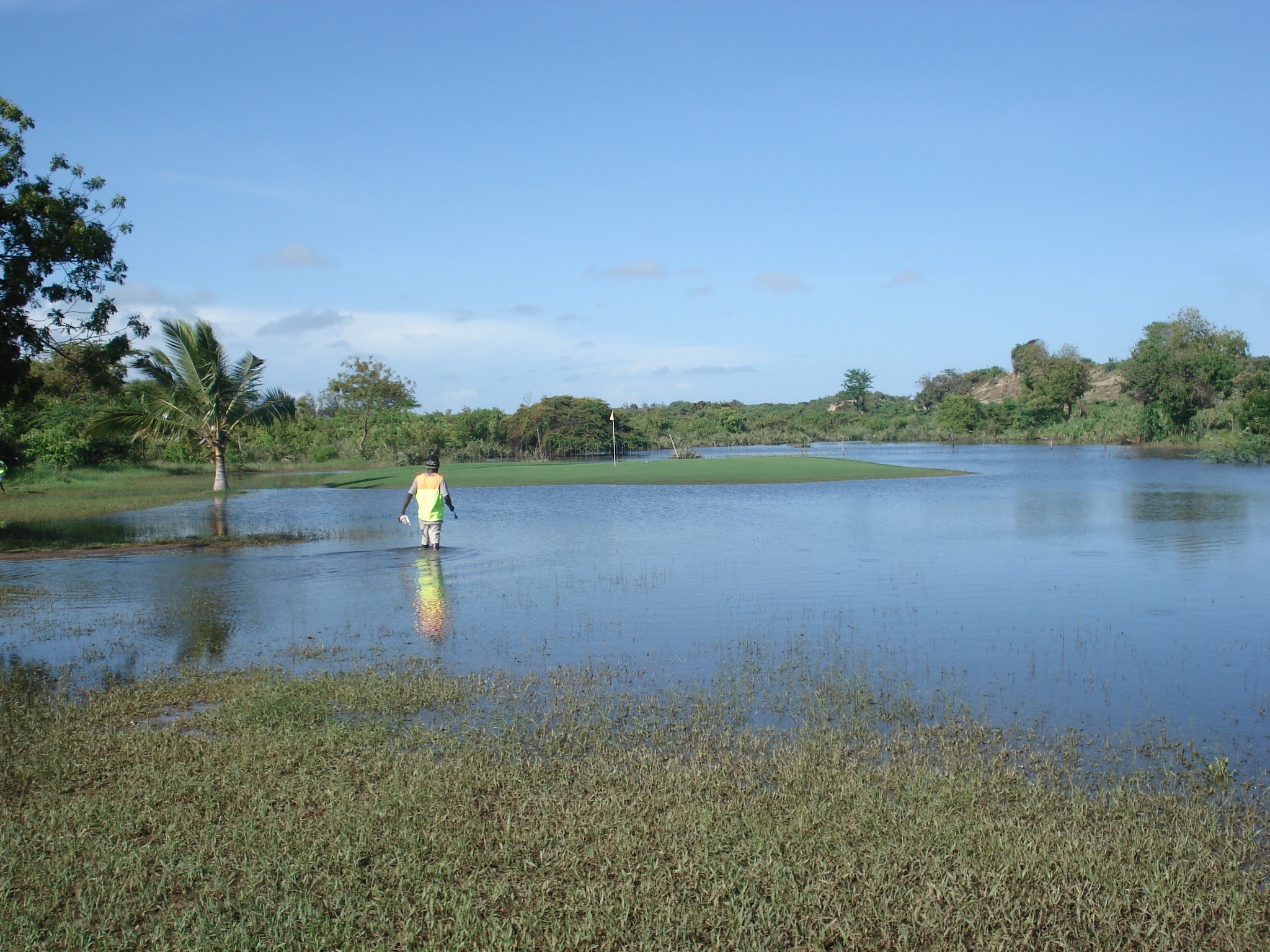 3rd green after 'El Nino' rains in 2009