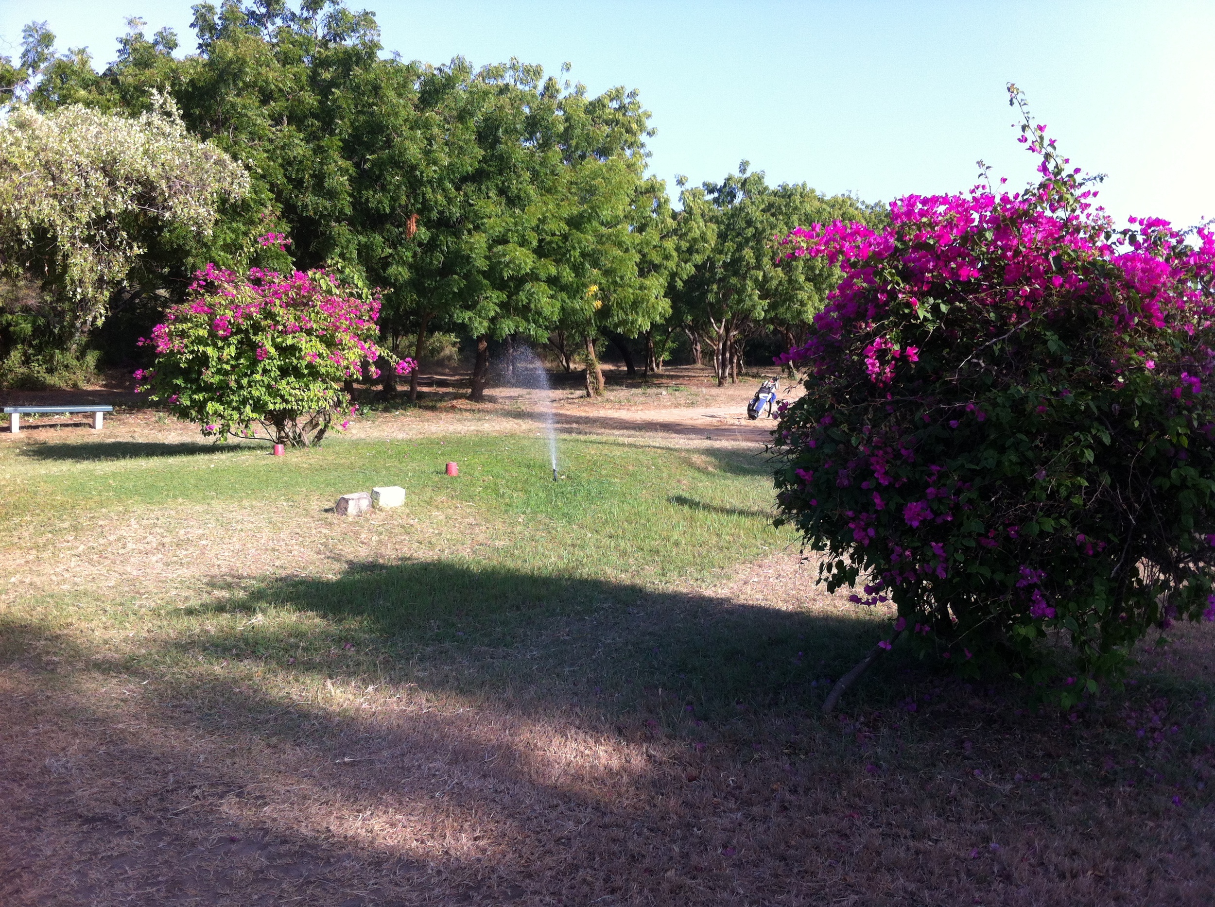 Ladies 18th tee - 400 yards par 4