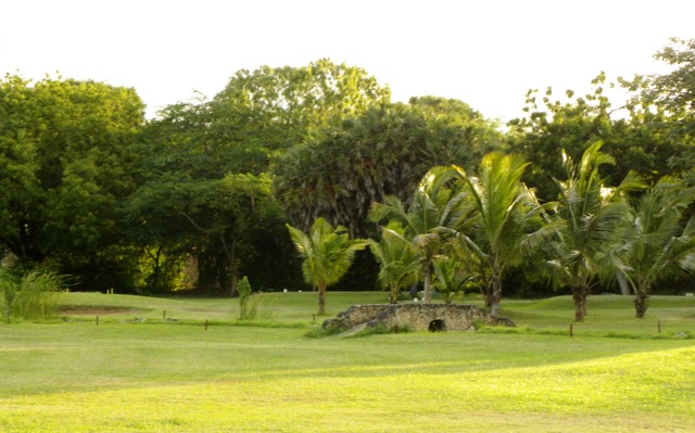 8th Hole - 305 yards - par 4