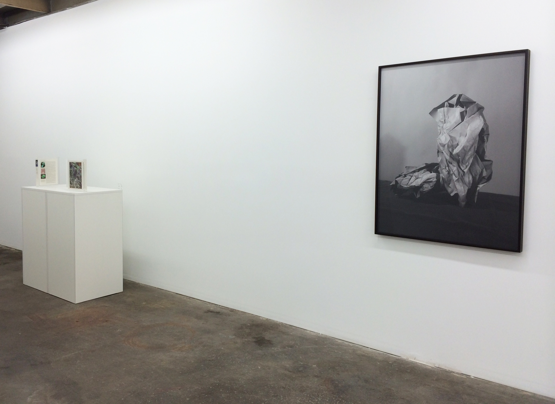 Installation shot Mungo Thomson and Sarah Conaway
