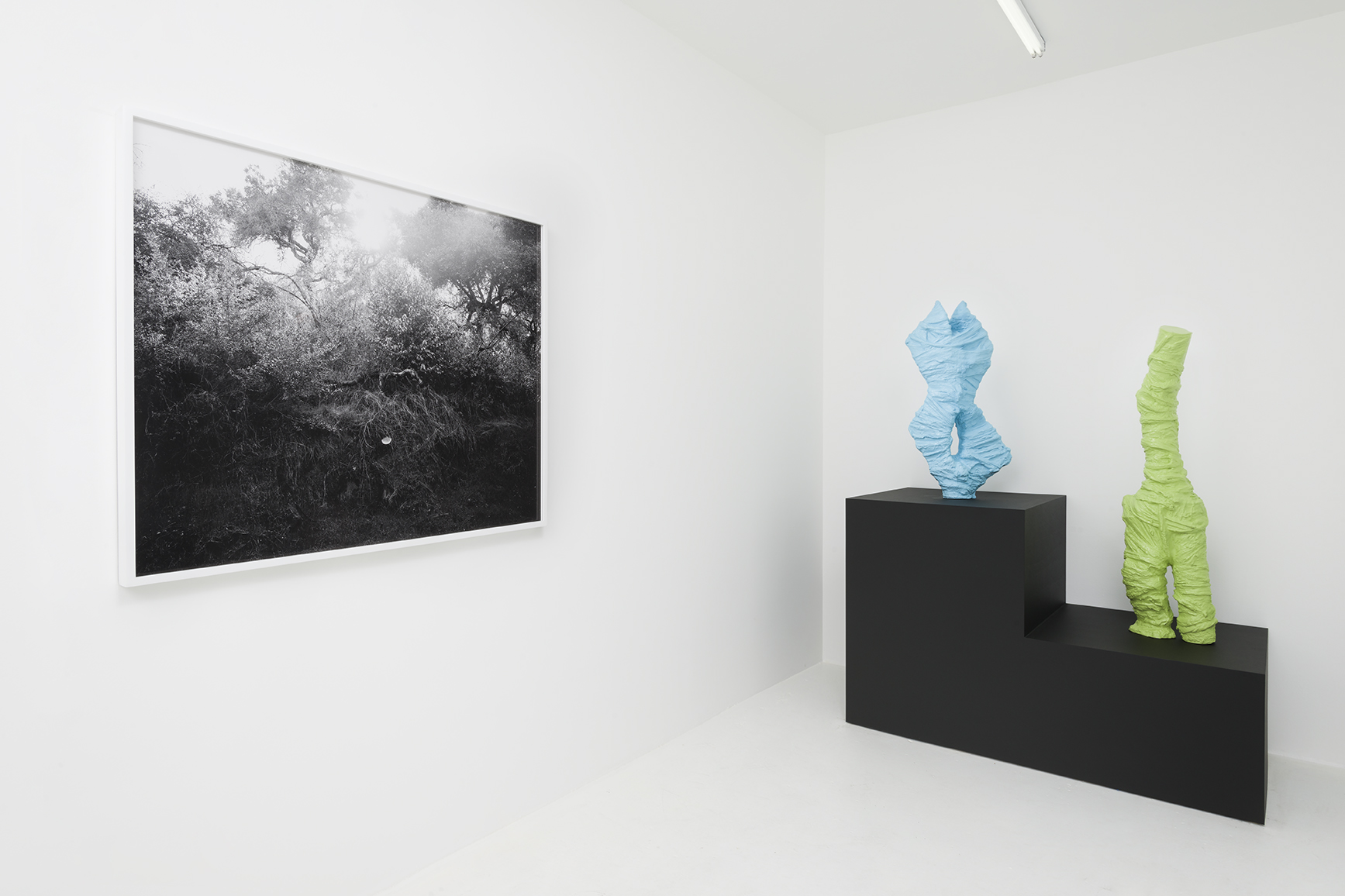Adam D. Miller & Devon Oder - MythMAKER - Installation