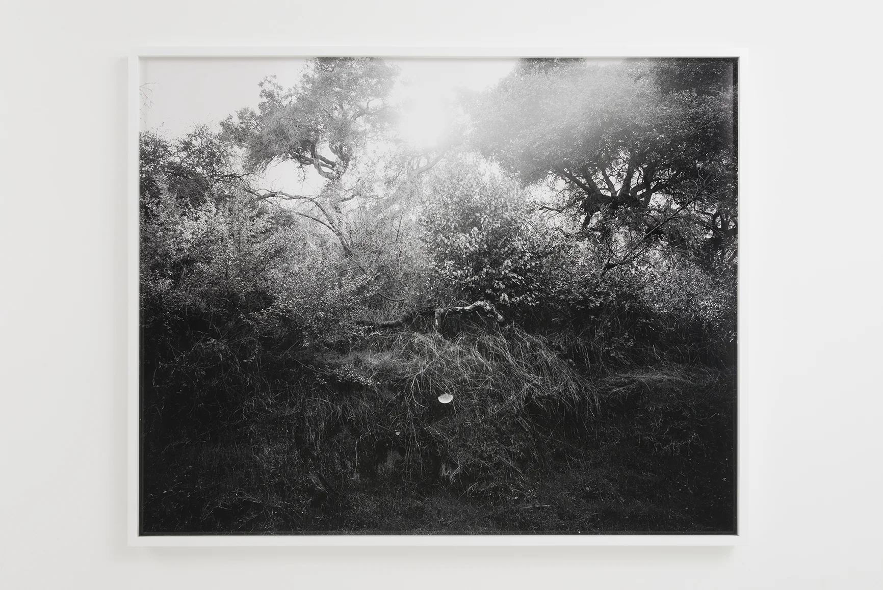 Devon Oder - Myth Maker - 2016 - Archival Inkjet Print - 40 x 50"