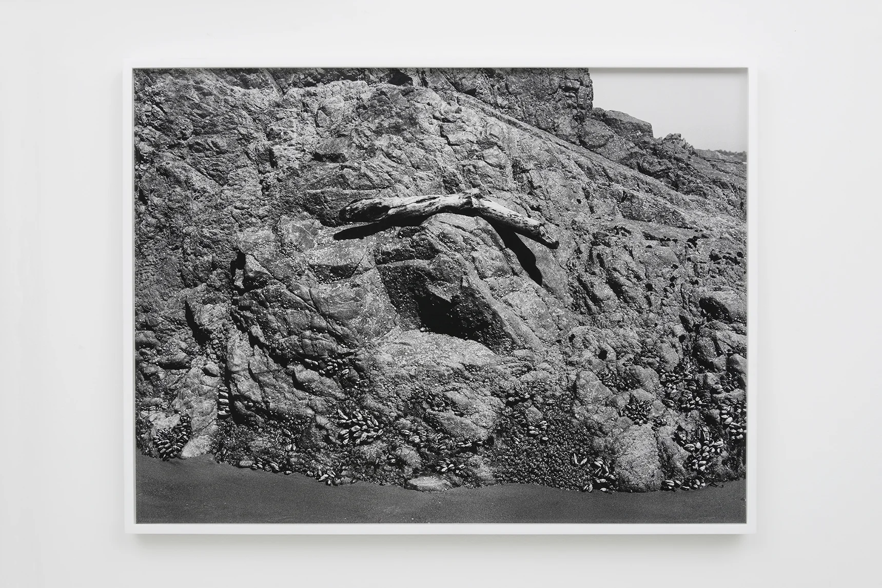 Devon Oder - Balance - 2016 - Archival Inkjet Print - 22 1/2 x 33"