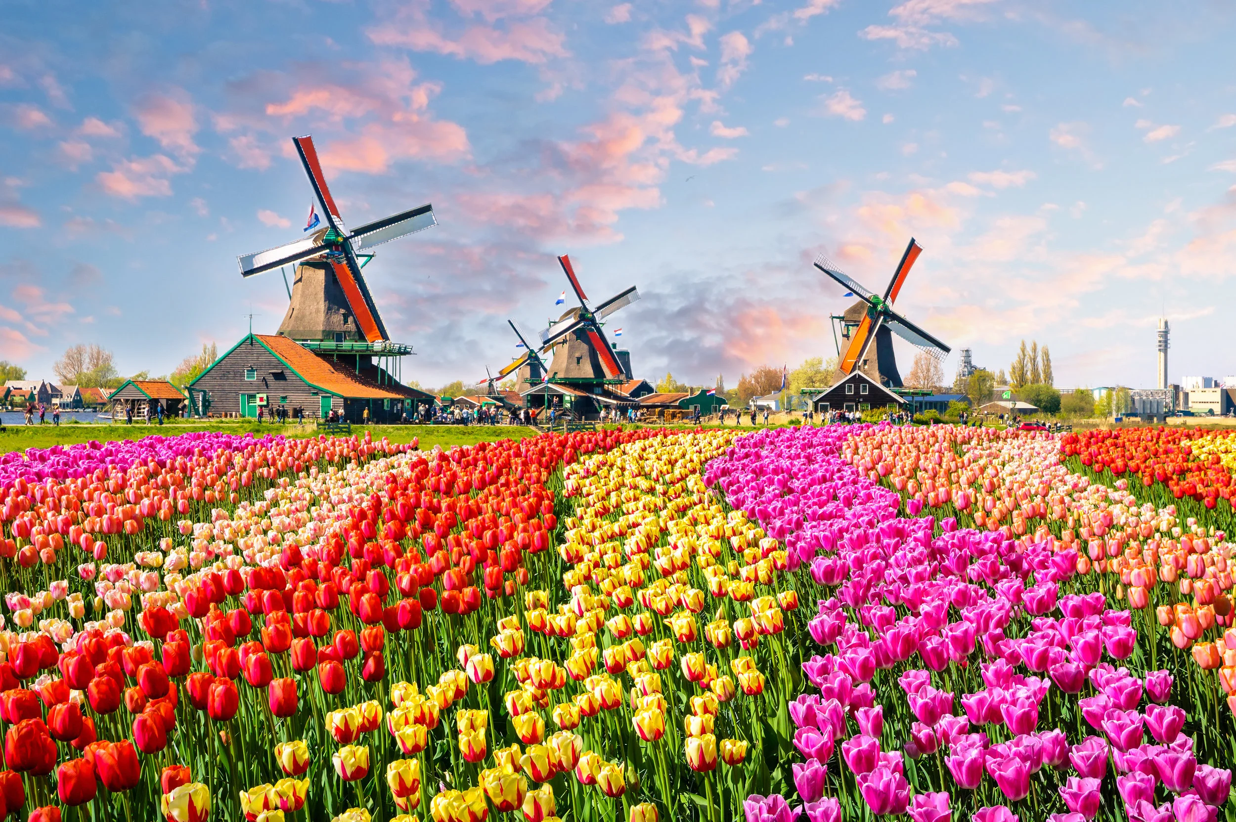 AdobeStock_137139944.jpeg