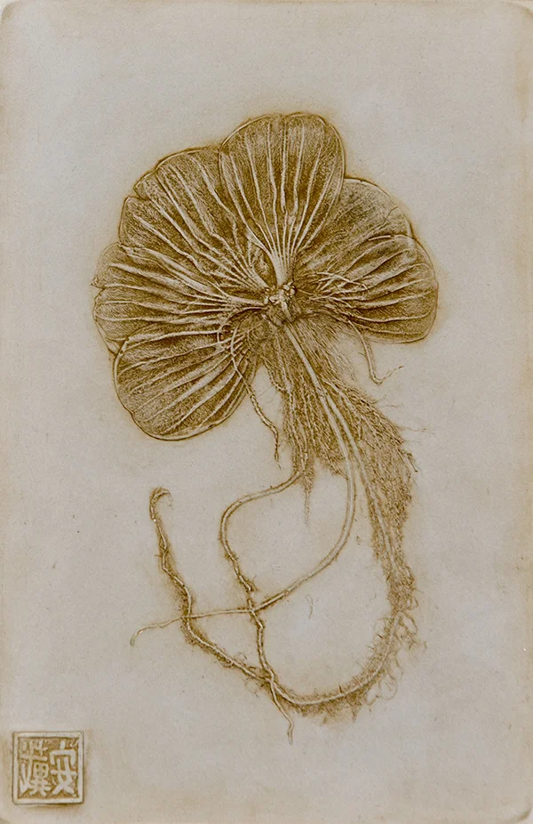2_©diannecutler_TheLightnessofBeing_WaterLettuce_PlasterCastingwithNaturalUmberandGoldMicaWash_6x9_95_sm.jpg