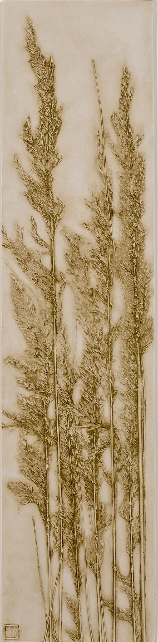 8_©diannecutler_AGlimseThroughTheReeds_PanelA_Grasses_PlastercastingwithLightSiennaandGoldMicaWash_8.5x36_1150pair_sm.jpg