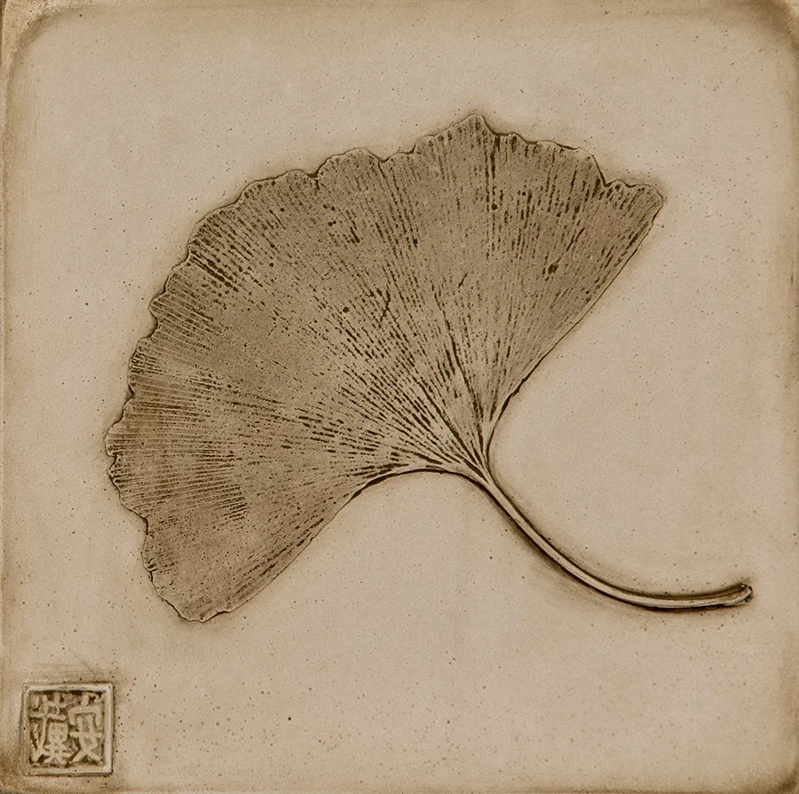 21_©diannecutler_Hugh_GinkoLeaf_PlasterCastingwithNaturalUmberandGoldMicaWash_8.25x8.25_240_sm.jpg