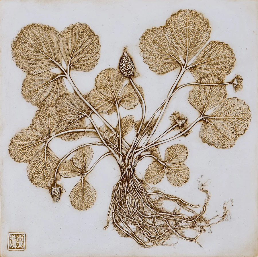 26_©diannecutler_TheTigerandTheStrawberry_Strawberry_PlasterCastingwithNaturalUmberandGoldMicaWash_13.25x13.25_435_sm.jpg