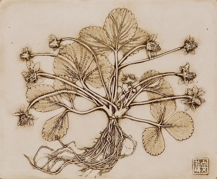 31_©diannecutler_Mother'sShortcake_Strawberry_PlasterCastingwithNaturalUmberandGoldMicaWash_11x9_185_sm.jpg