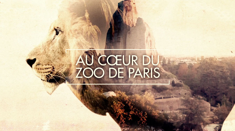 Au Cœur du Zoo de Paris
