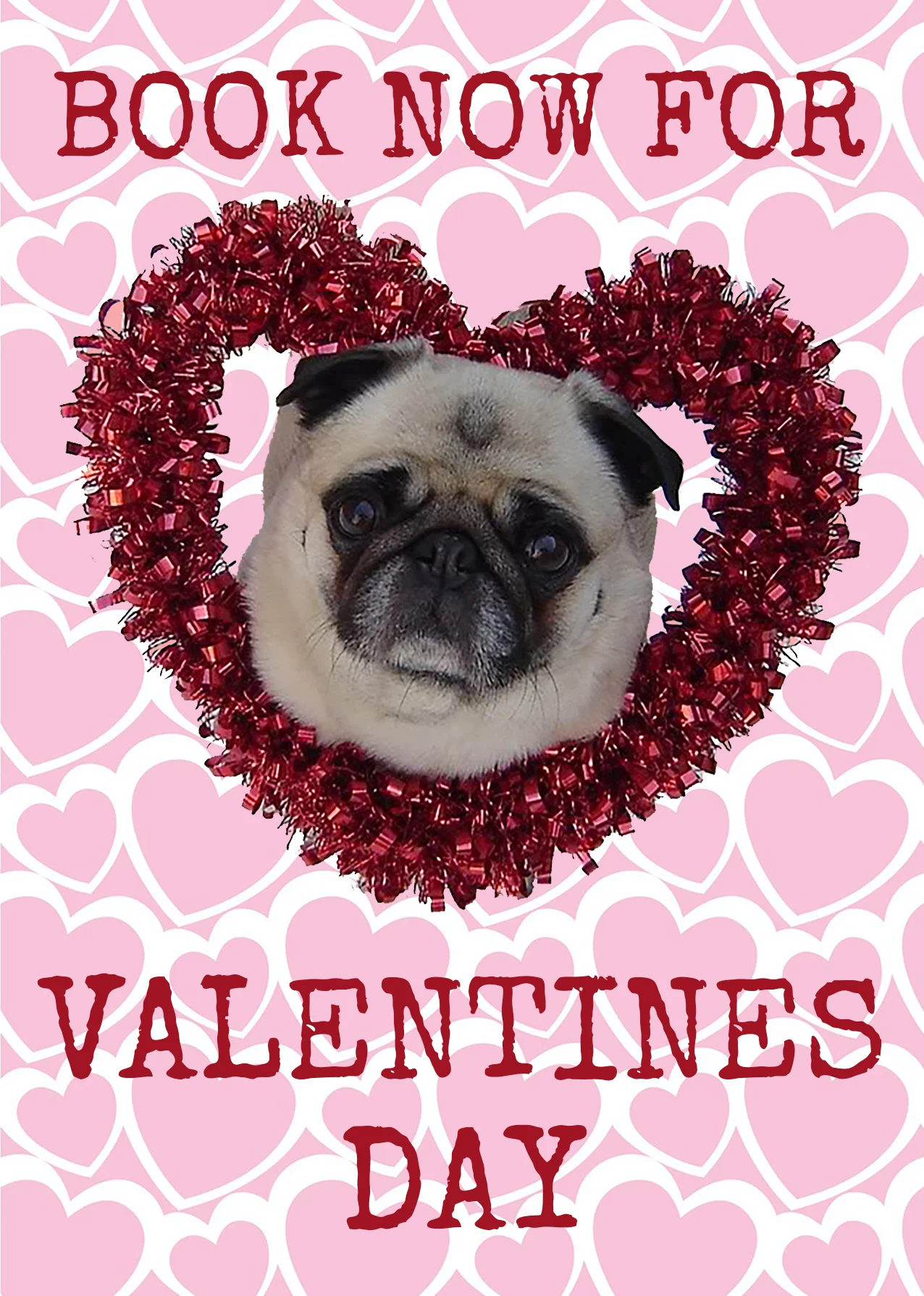 VALENTINES PUG 2018 LR.jpg