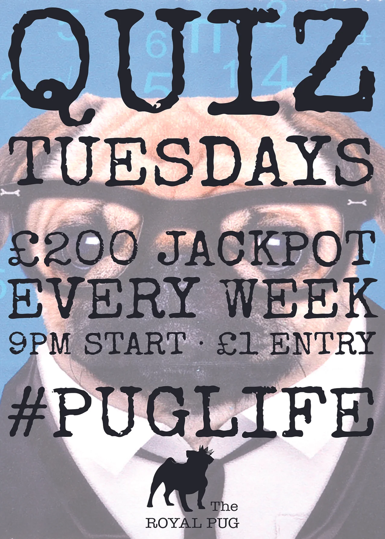 TRP QUIZ TUES LR.jpg
