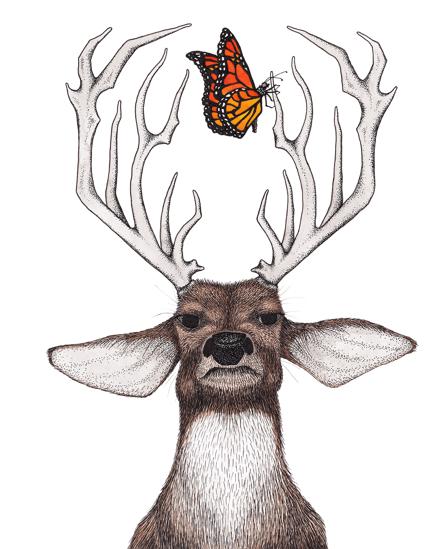Deer + Butterfly