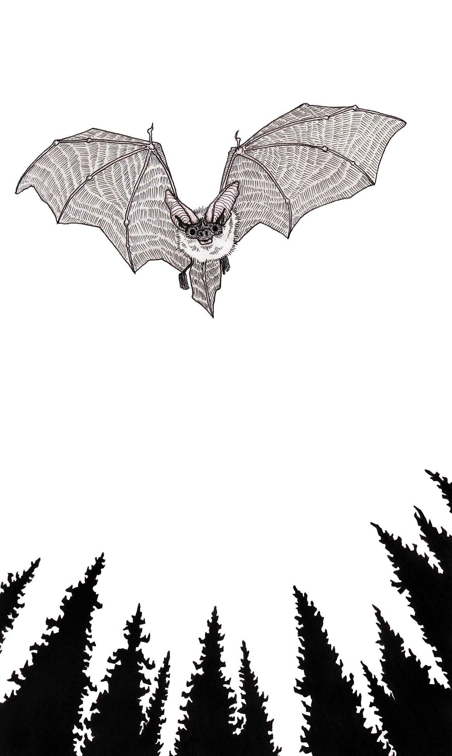 Bat + Trees