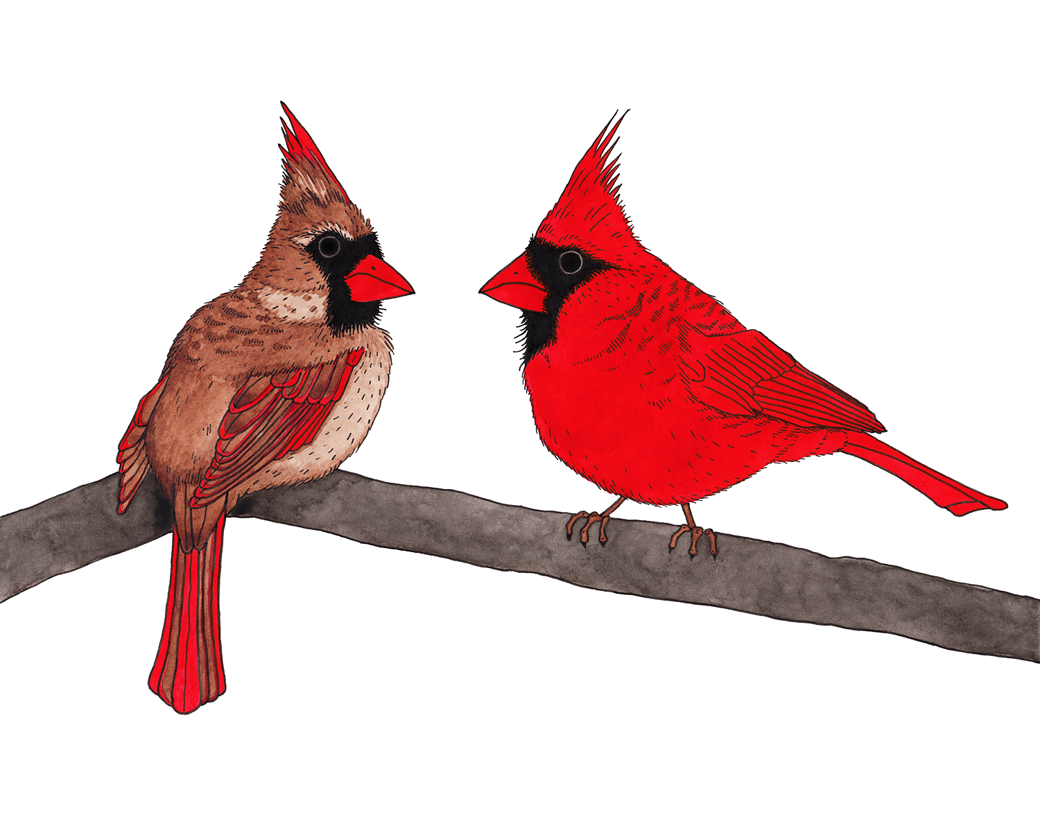 Cardinals