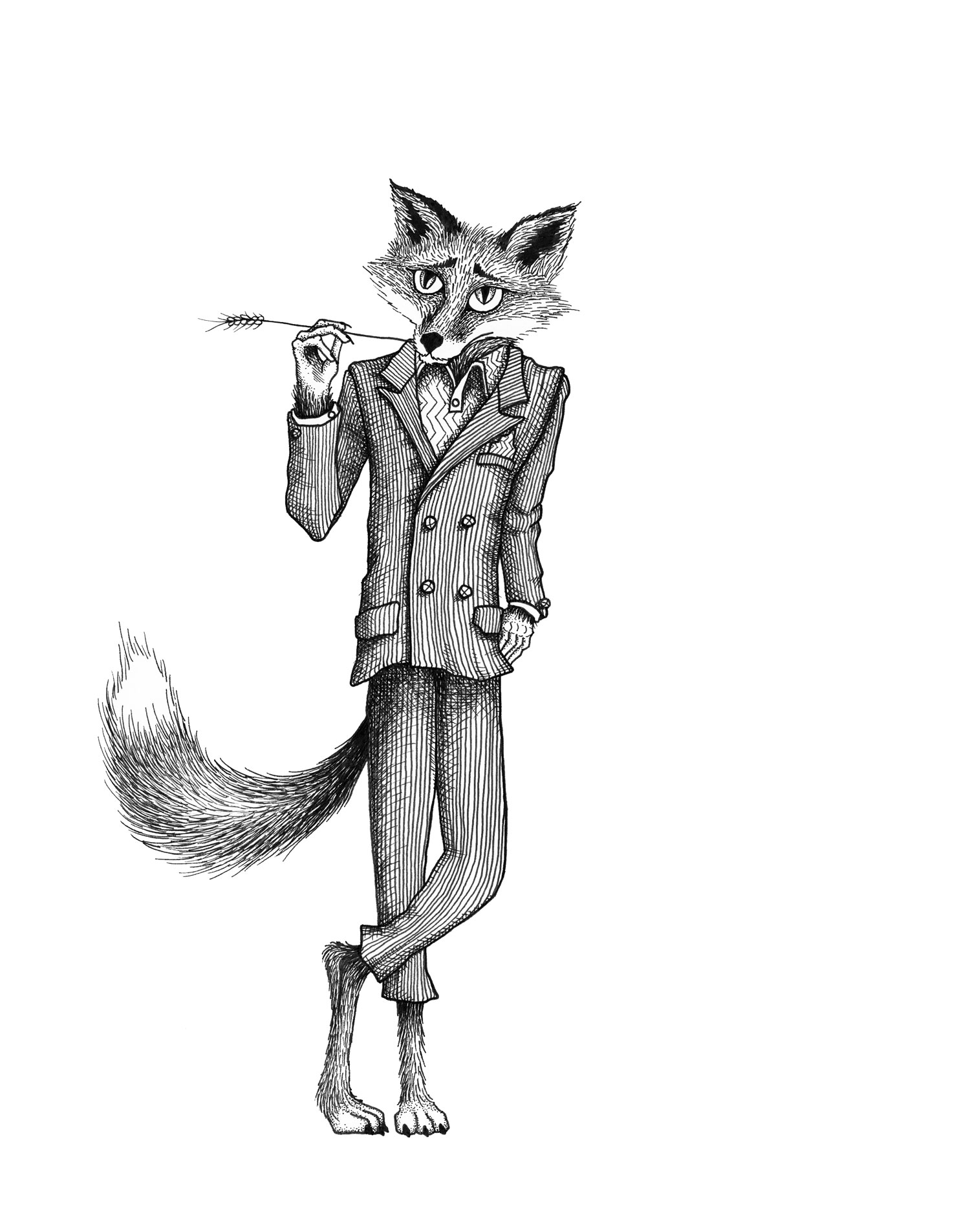 fantastic-mr-fox-roald-dahl-illustration-matthew-woods.jpg