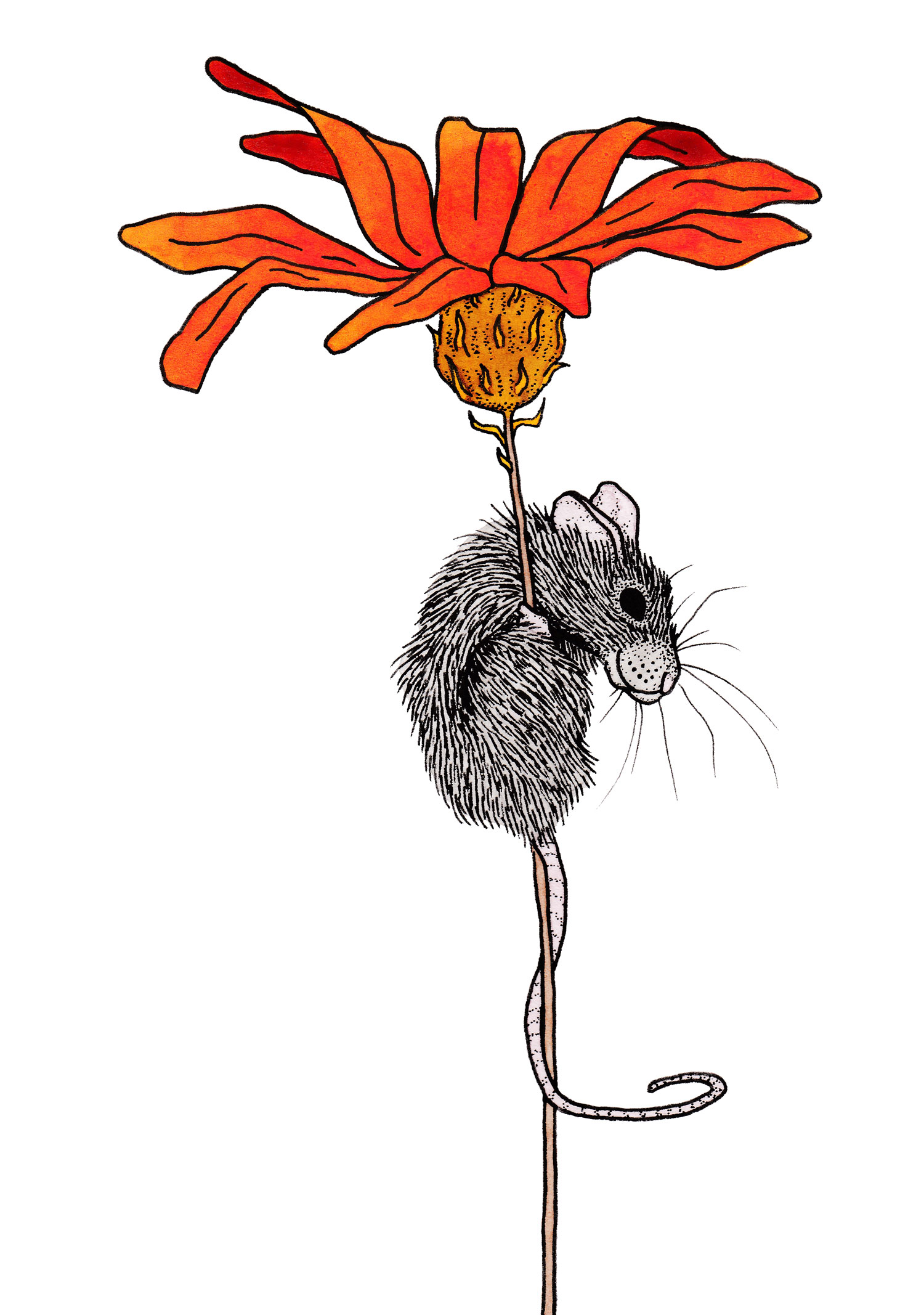 mouse-flower-illustration-matthew-woods.jpg