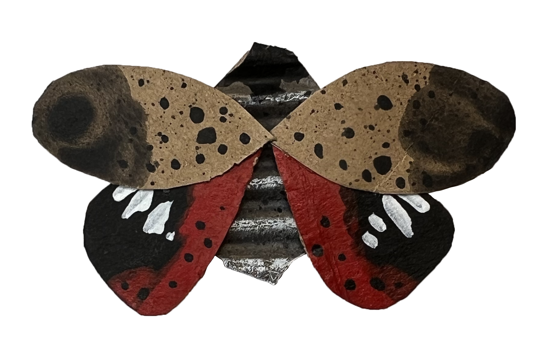 Spotted Lanternfly — MATTHEW WOODS