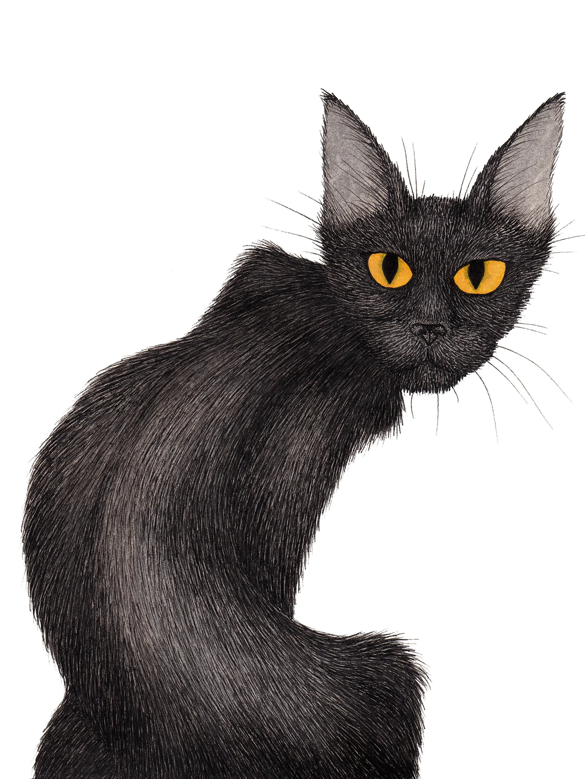 Happy Black Cat Appreciation Day to all you bad omens out there! 🐈&zwj;⬛

I drew this based on a cat that I lived with many years ago named Pantalones. She was &ldquo;rescued&rdquo; from the streets of NY and never really wanted to be rescued. She s