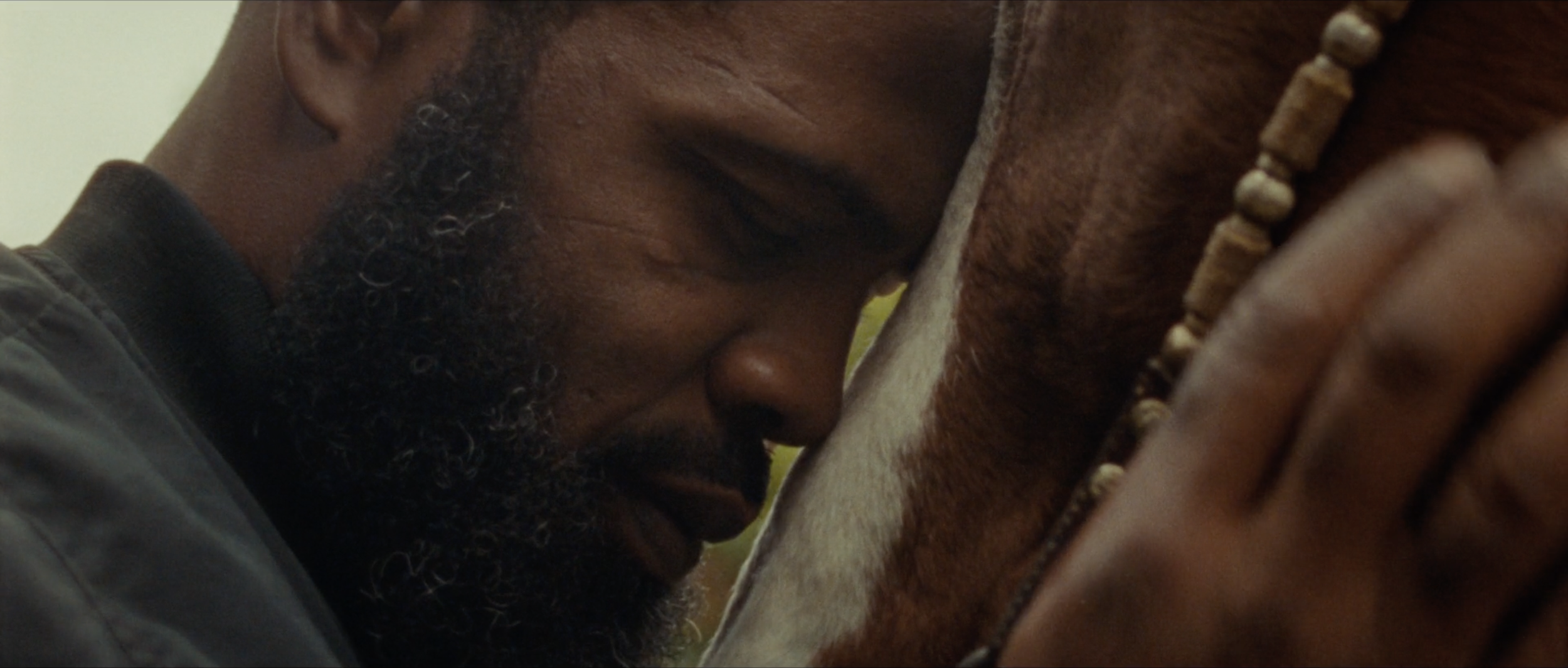 Screenshot 2026-04-08 at 9.21.59 AM.png