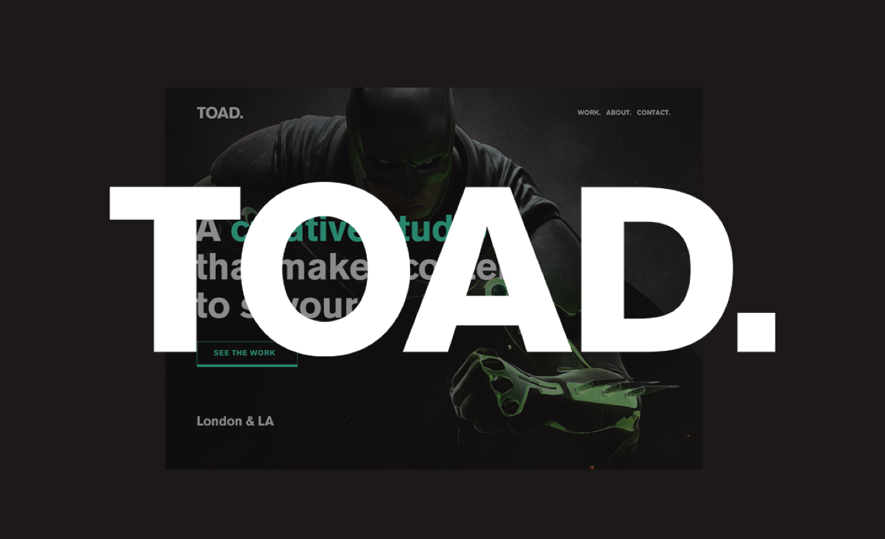 TOAD HERO IMAGE.png