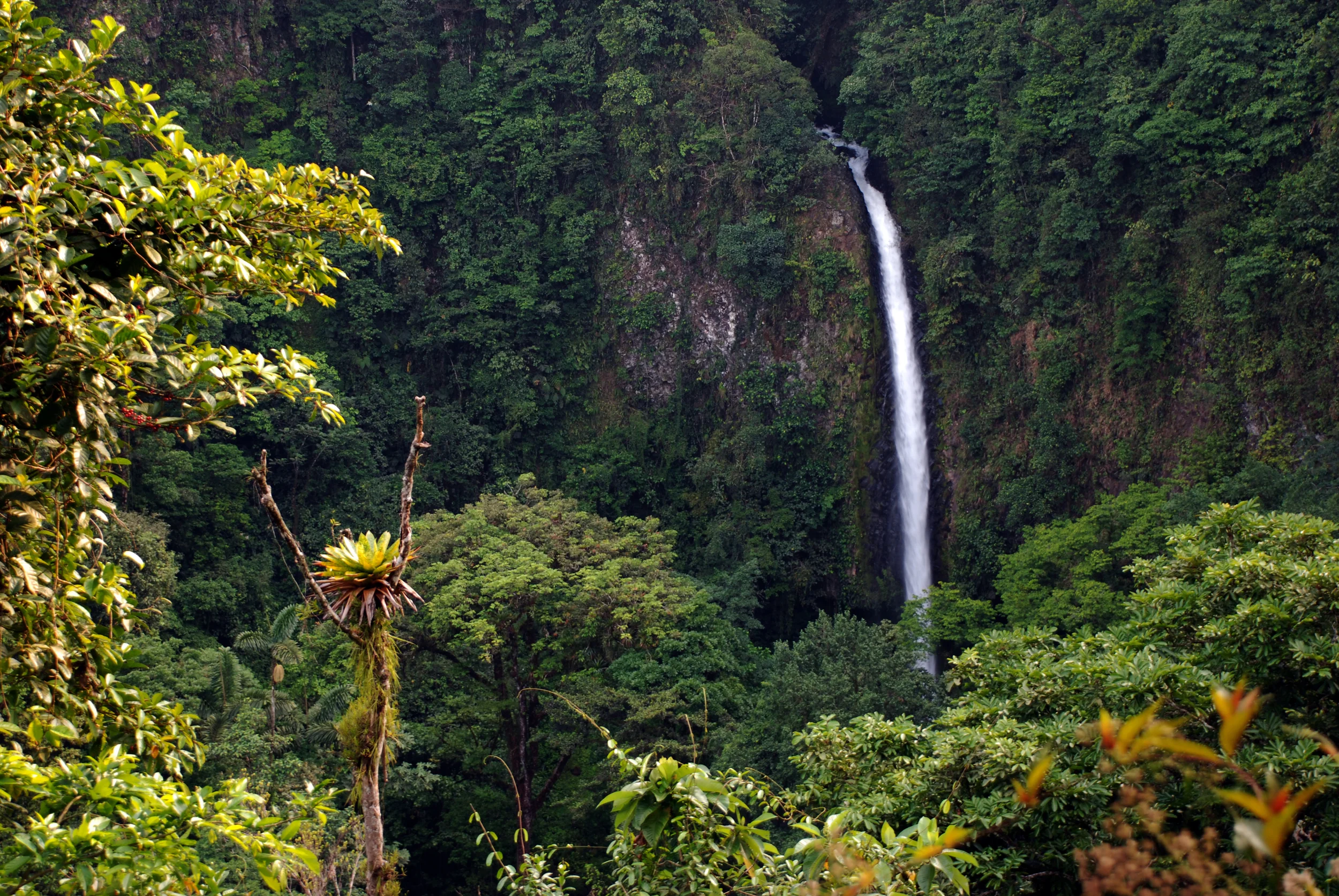 Cascada