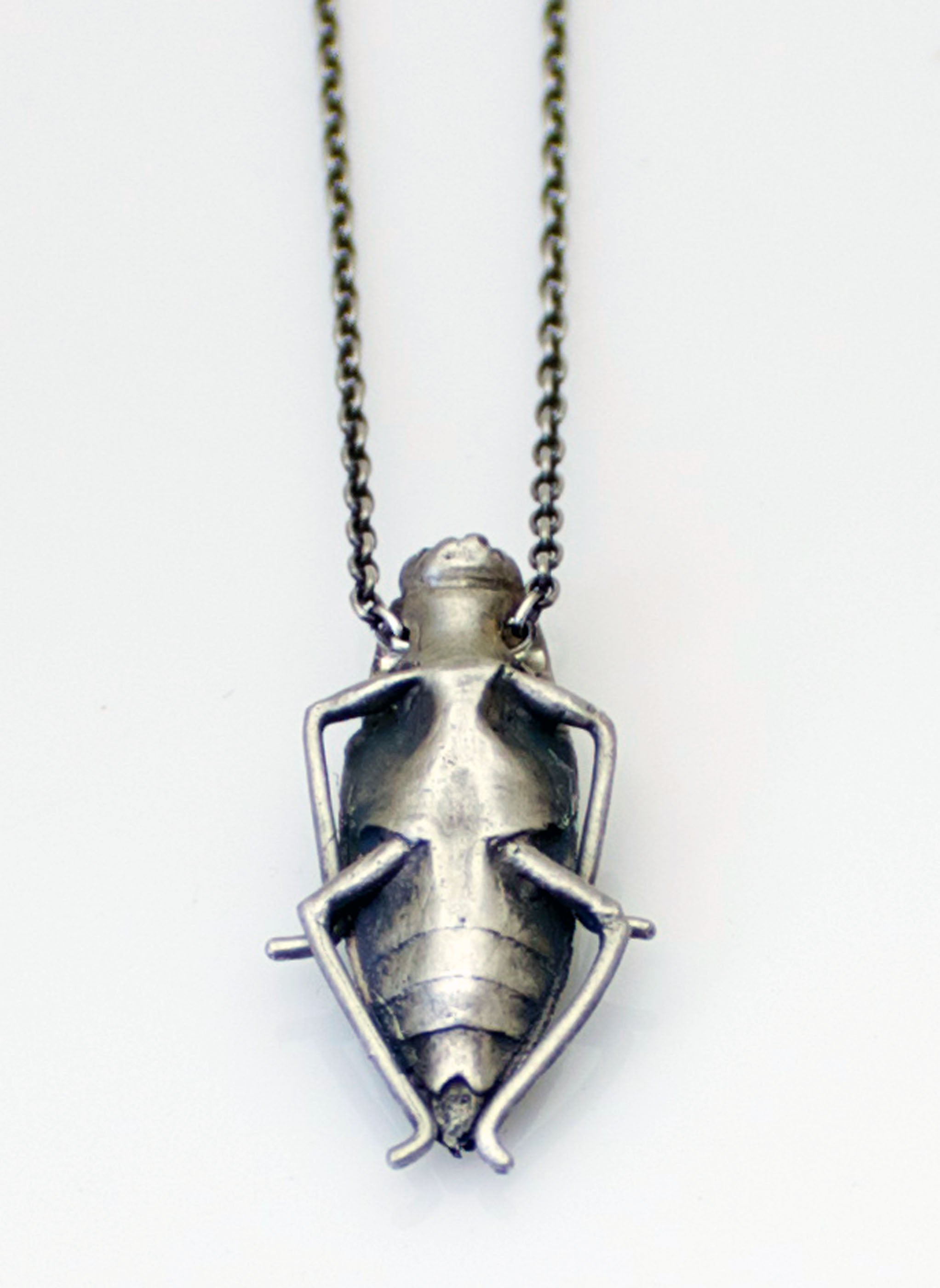 silver_beetle_back.jpg