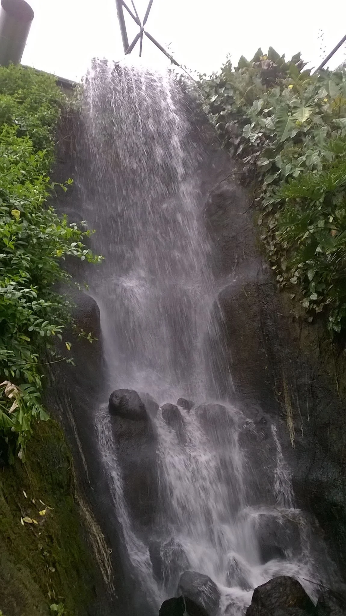 A photo of the waterfall inside the rain forest biome at The Eden Project.