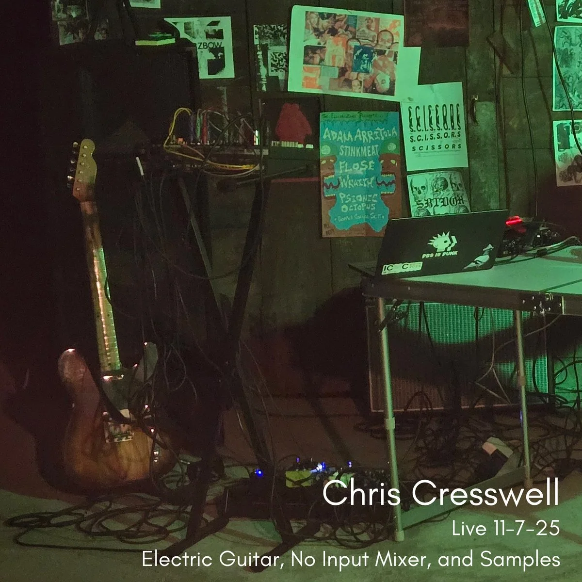 Recent Live Performances