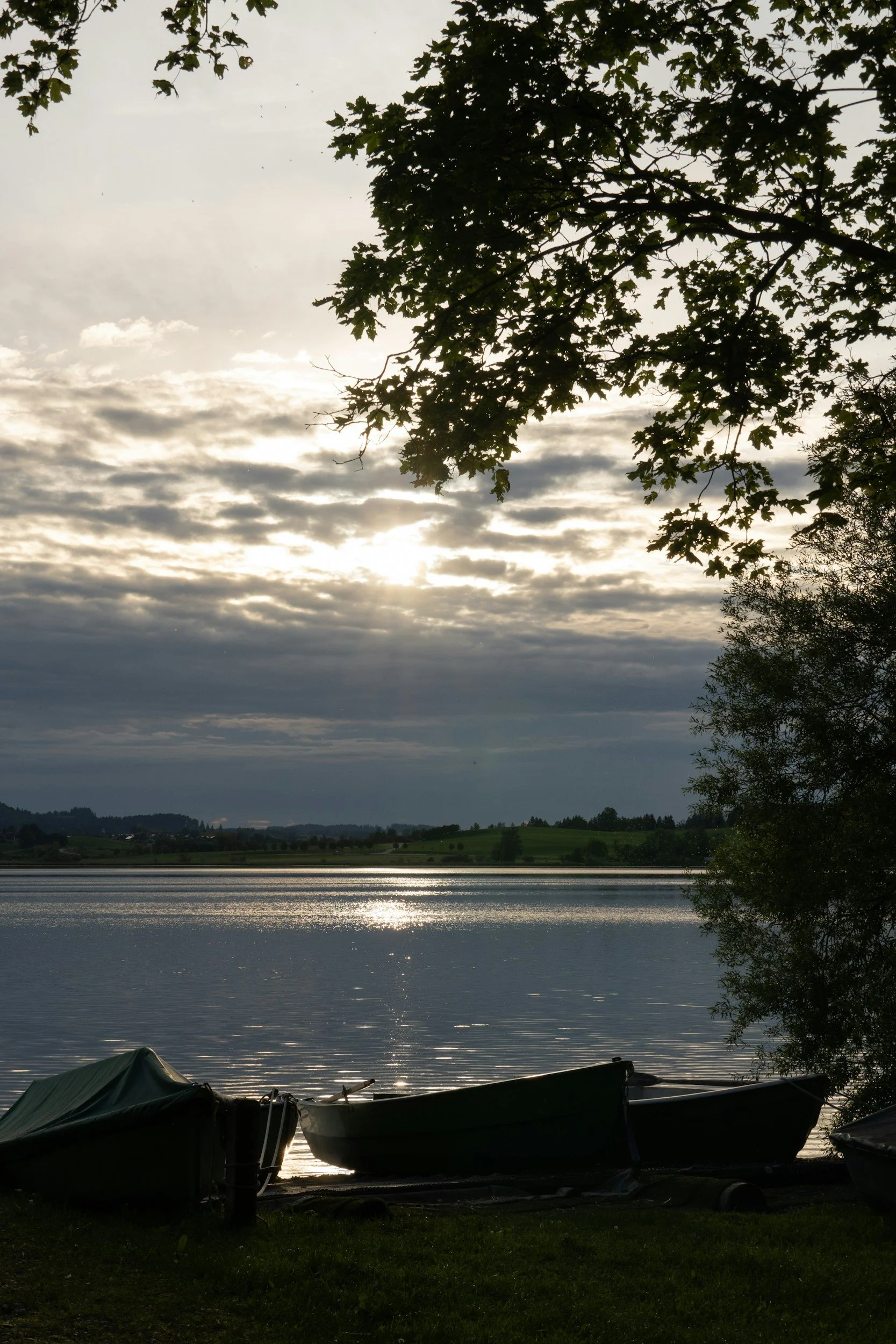 of even the beautiful at the University of Alabama