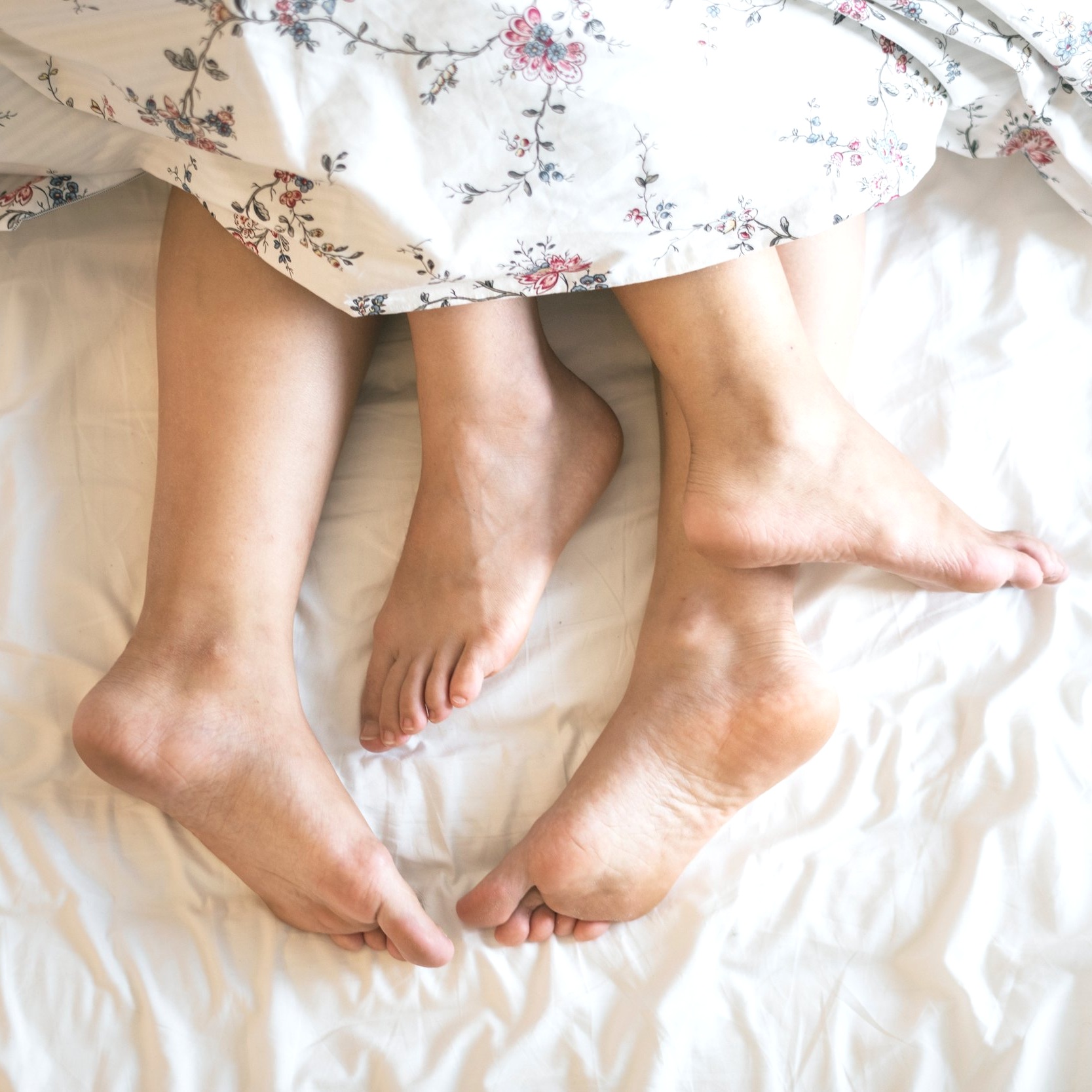 rawpixel-741680-unsplash.jpg