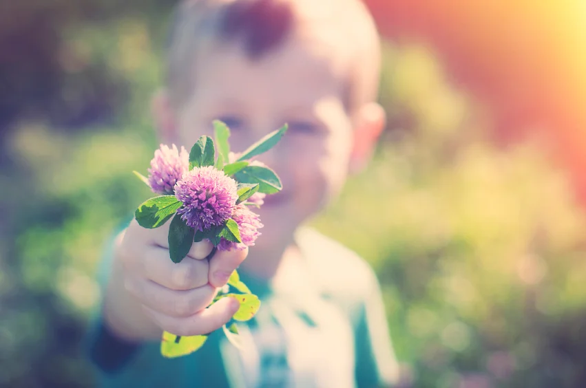 Little boy Thistles Pic HBTSOTR.jpg