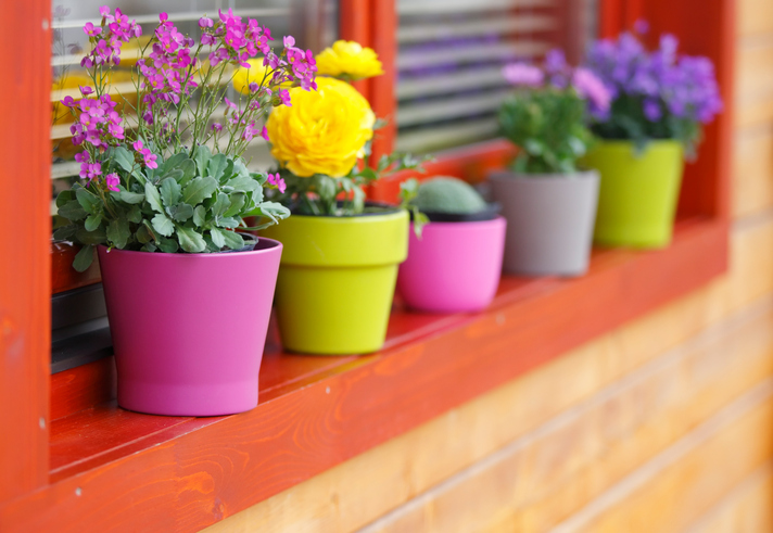 Colorful-spring-flowers-House by the side of the road.jpeg