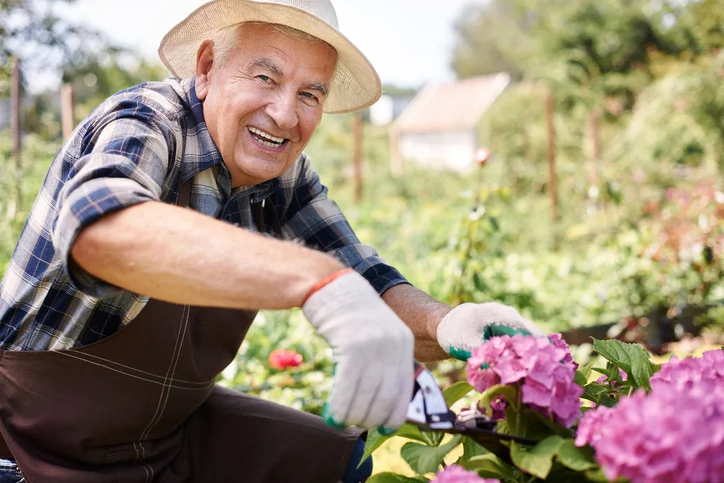 Cutting-a-flowers-for-my-wife-485464410_727x484.jpeg