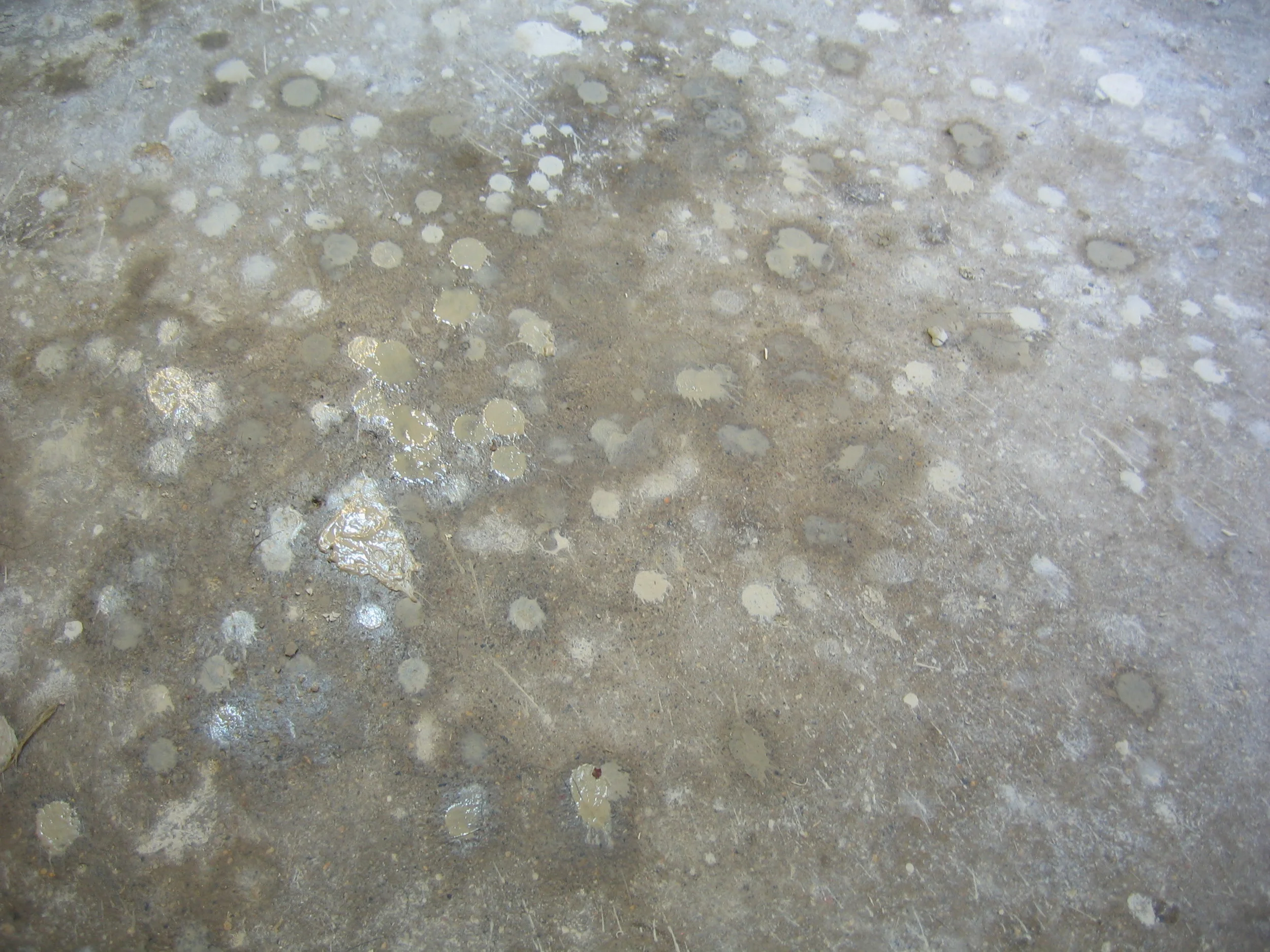 august 26, 2009 064.JPG