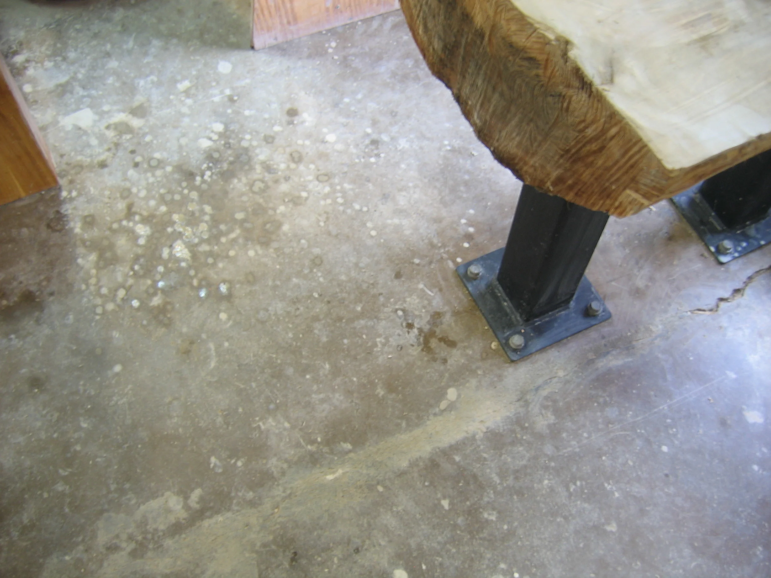 august 26, 2009 063.JPG