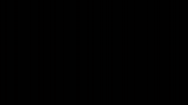 XoXoLogo_07.gif