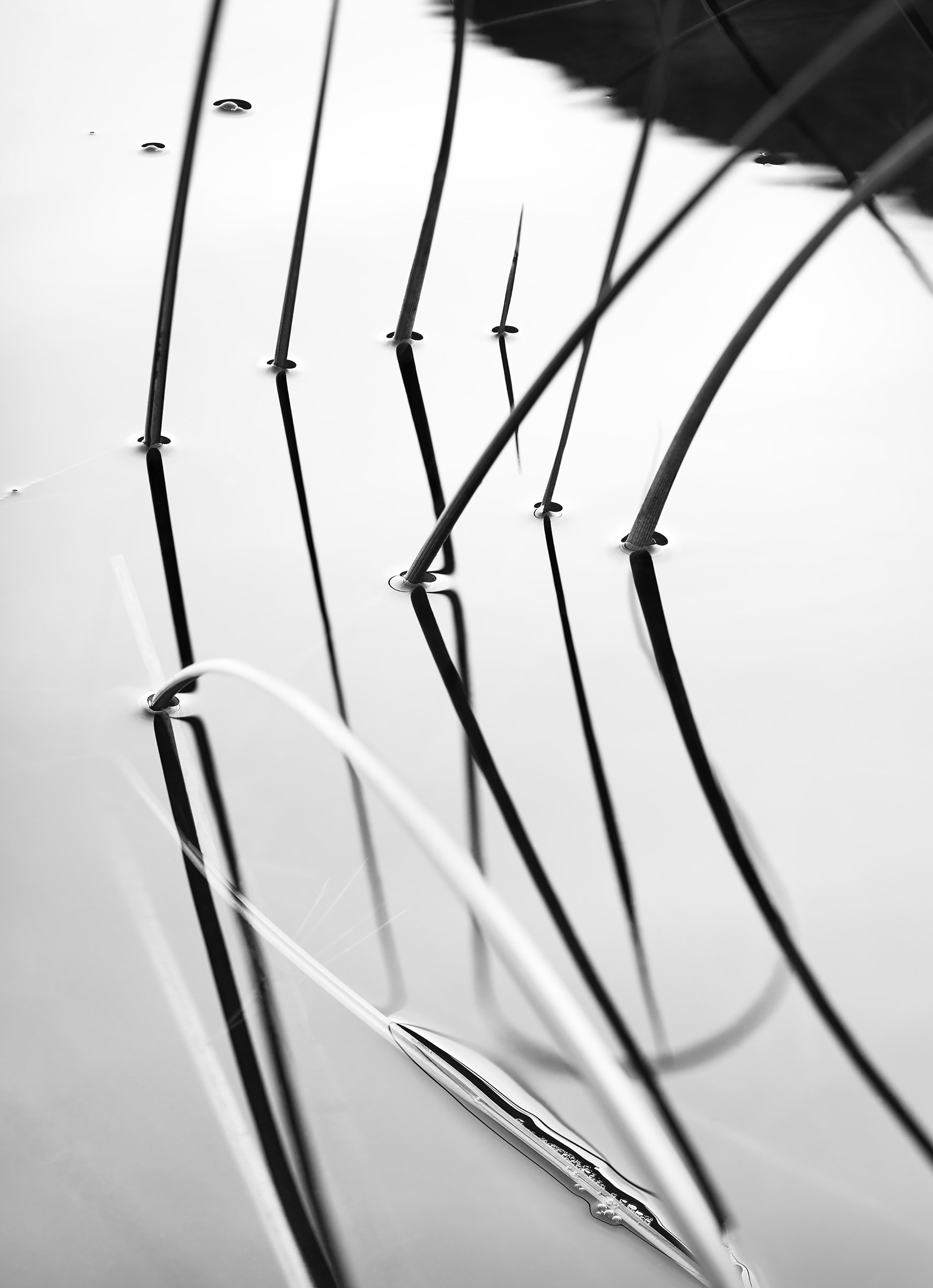 Acadia 2024, Untitled I