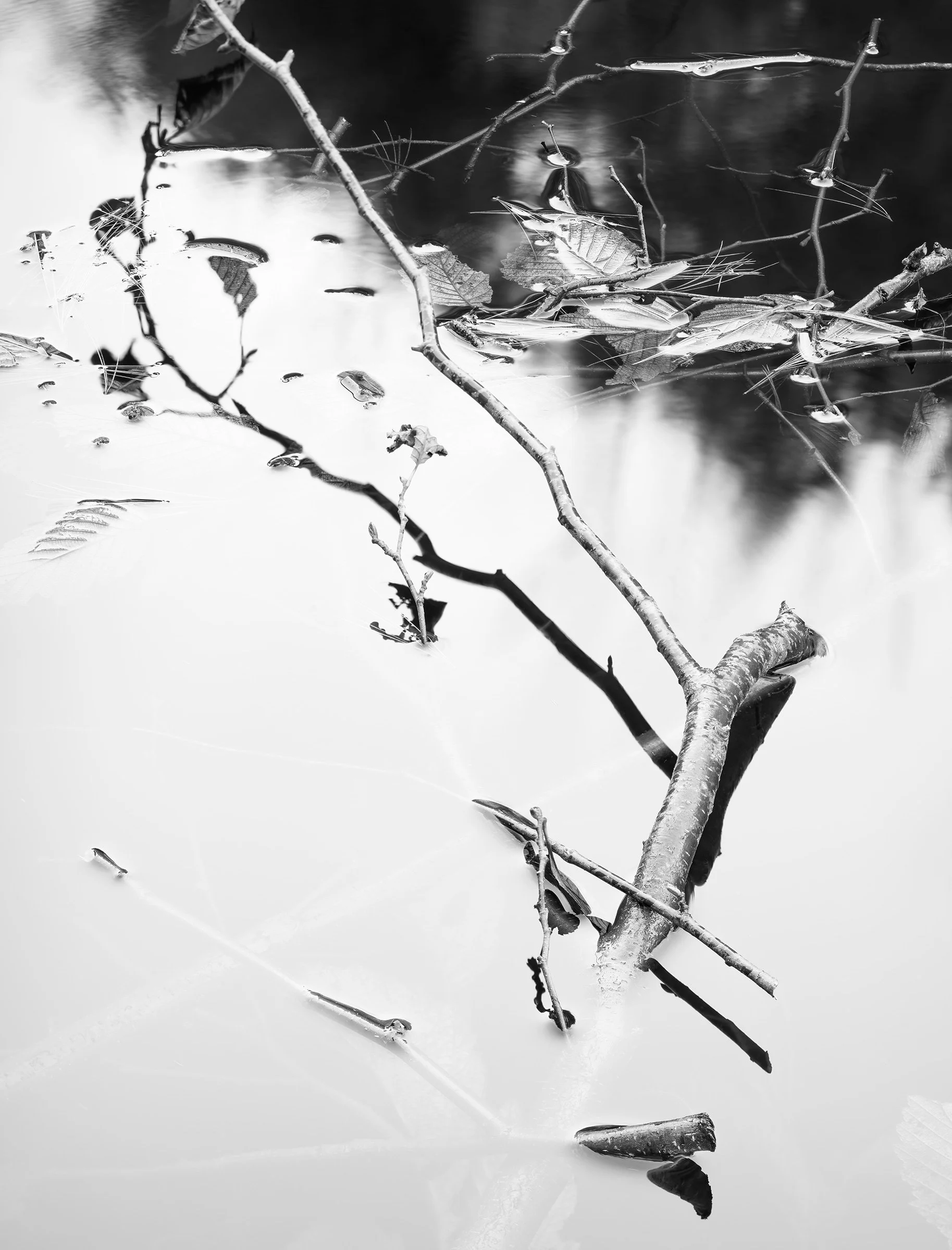 Acadia 2025, Untitled VI