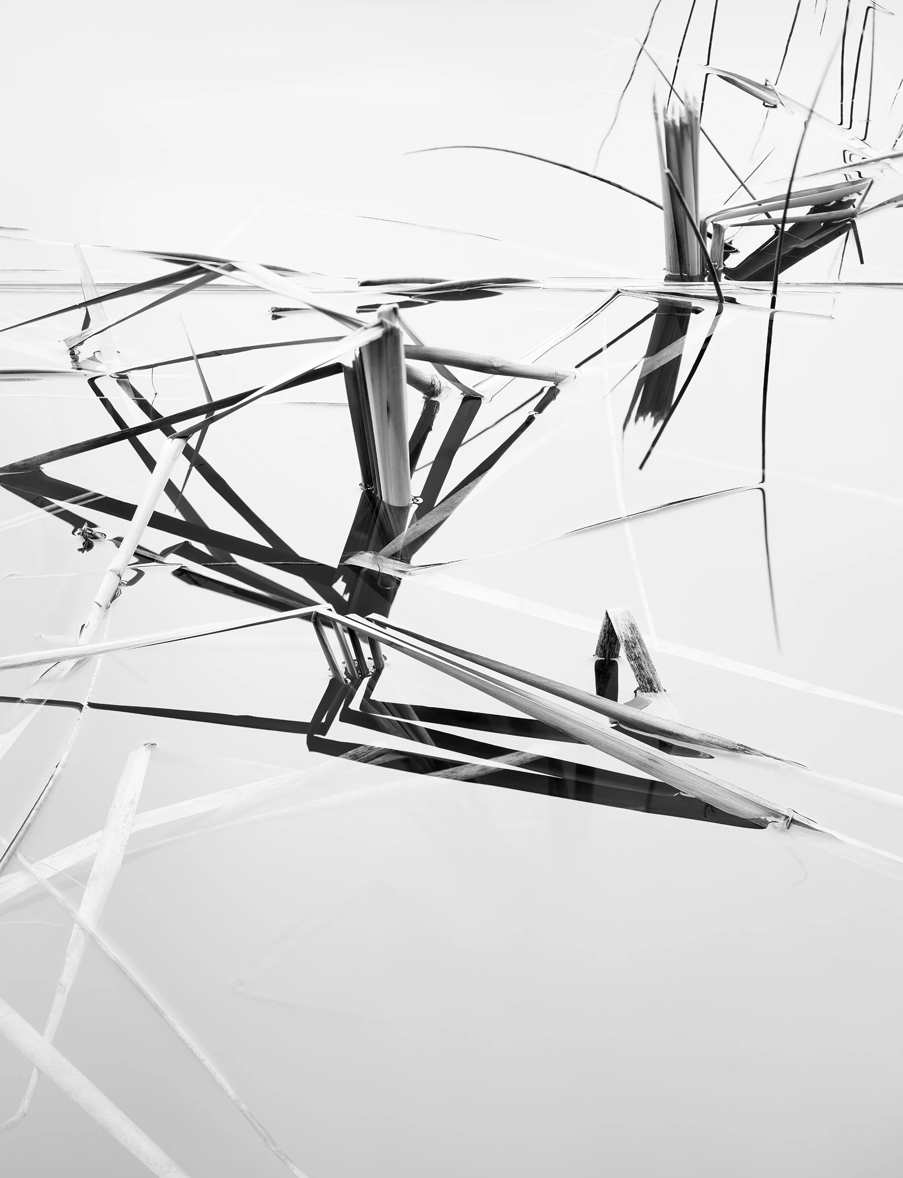 Acadia 2025, Untitled VII