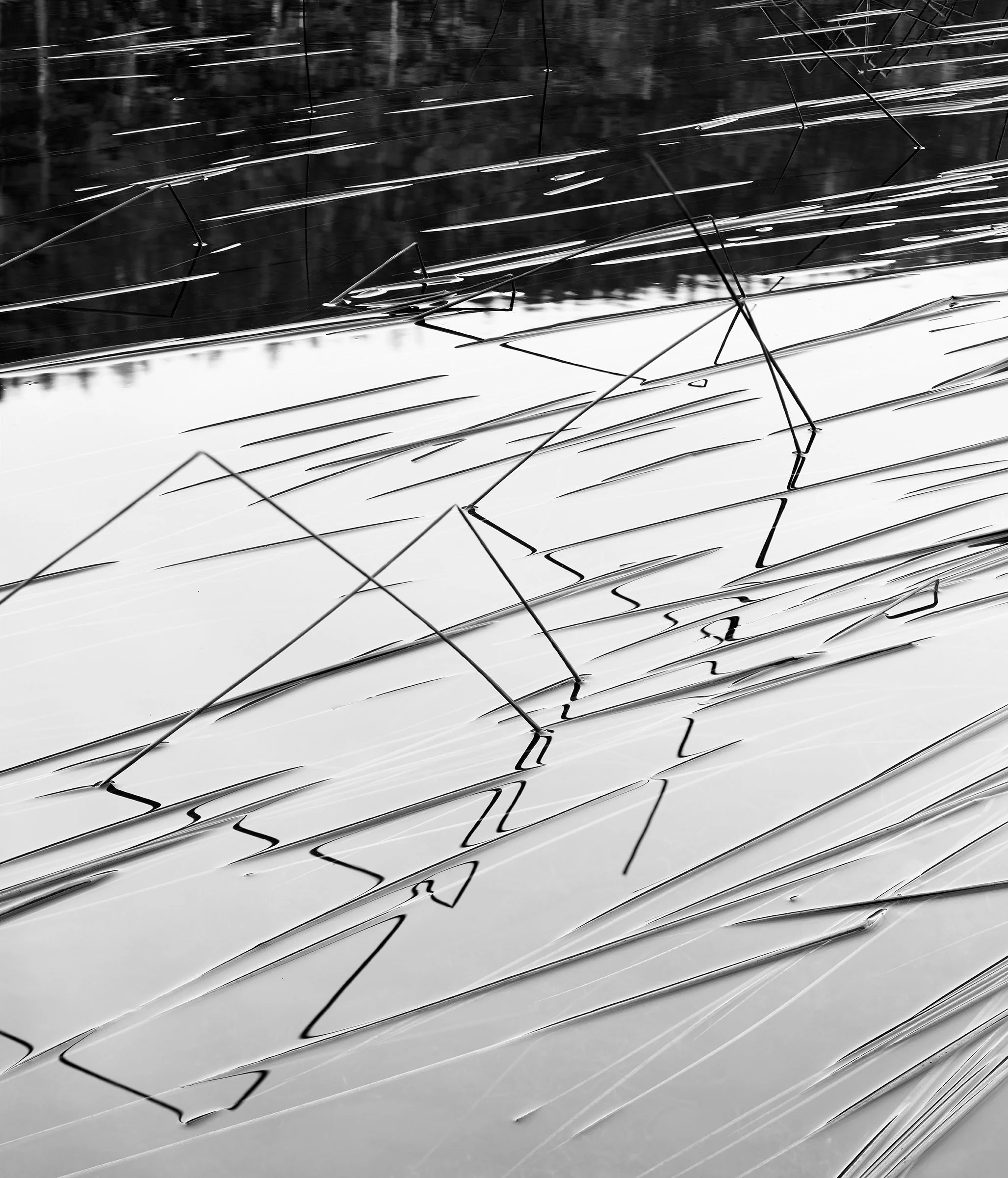 Acadia 2025, Untitled X