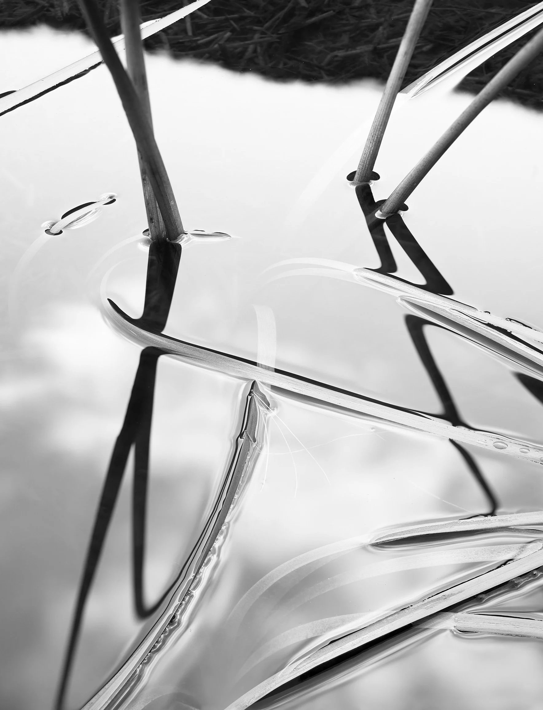 Acadia 2025, Untitled I
